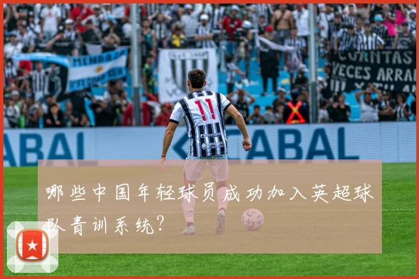 哪些中国年轻球员成功加入英超球队青训系统？