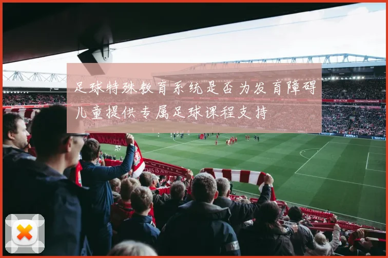 足球特殊教育系统是否为发育障碍儿童提供专属足球课程支持
